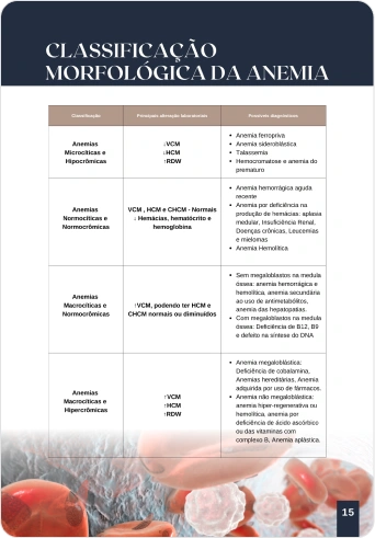 8.webp